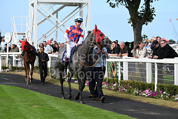 Gt_Yarm_24_Aug_2025-126