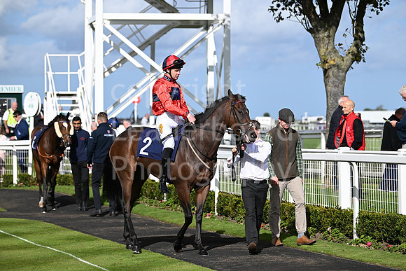 Gt_Yarm_Oct_7_2024-9
