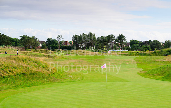 Z91_1095