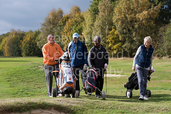 NB_074_Bromley_9_Hole