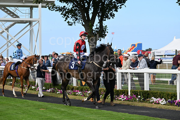 Gt_Yarm_24_Aug_2025-133