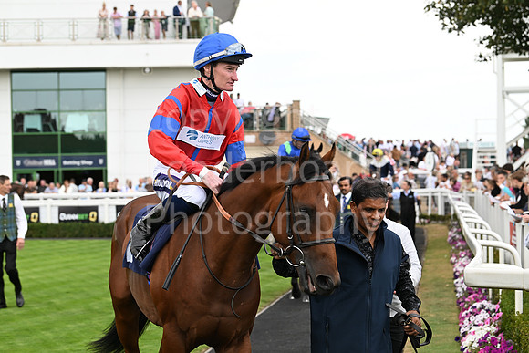Gt_Yarm_24_Aug_2025-47