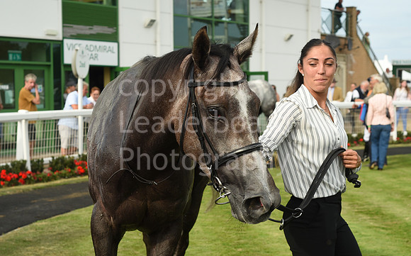 Gt_Yarm_21_Aug_2022-188