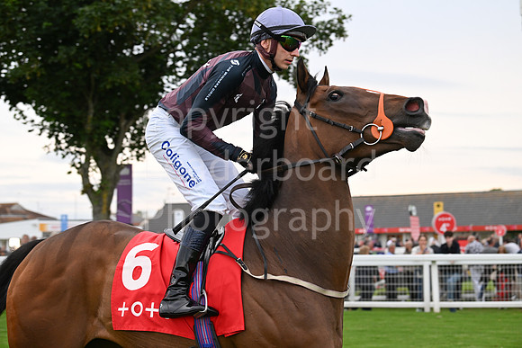 Gt_Yarm_July25_Racing_League_2024-240