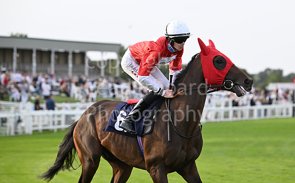 Gt_Yarm_6_Aug_2025-131
