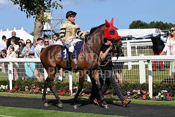 Gt_Yarm_25_Aug_Family_Raceday_2024-50