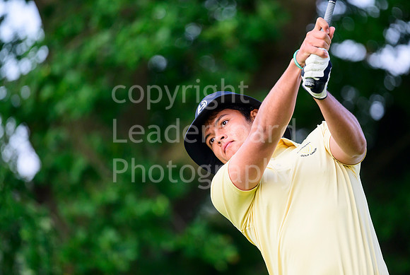 LBM_0493