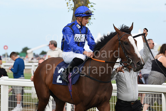 Gt_Yarm_21_Aug_2022-49