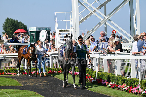 Gt_Yarm_July_30_2024-184