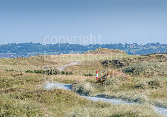 LBP_9026