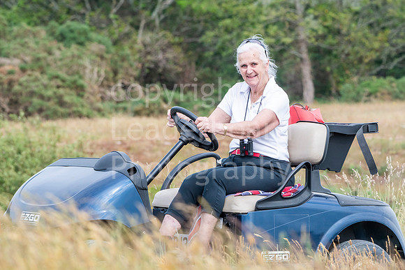 LBP_0278