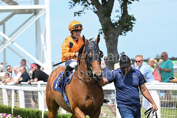 Gt_Yarm_Residents_Day_June_27-9