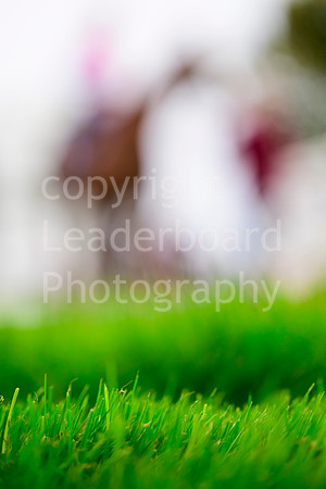 LBM_7537