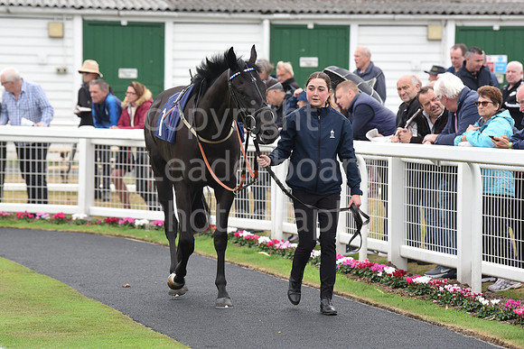 Gt_Yarm_Eastern_Fest_Day_1-39
