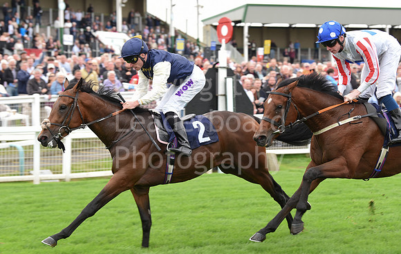 Gt_Yarm_Eastern_Fest_Ladies_day_2023-20