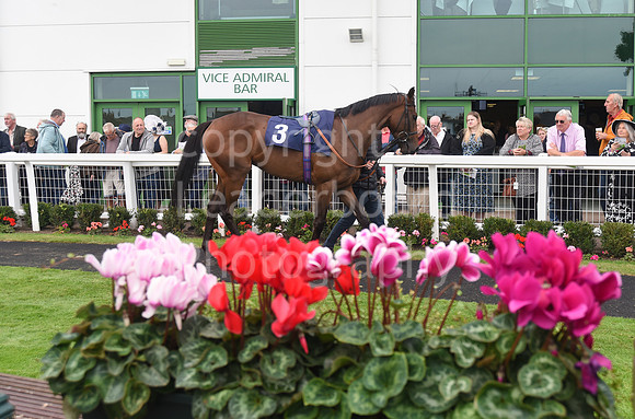 Gt_Yarm_Eastern_Fest_Ladies_day_2023-44