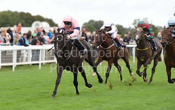 Gt_Yarm_Eastern_Fest_Ladies_day_2023-49