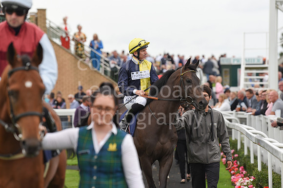 Gt_Yarm_Eastern_Fest_Ladies_day_2023-70