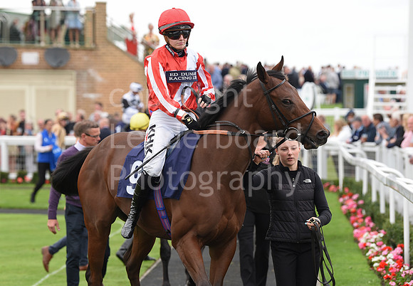 Gt_Yarm_Eastern_Fest_Ladies_day_2023-72