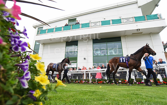 Gt_Yarm_Eastern_Fest_Ladies_day_2023-81