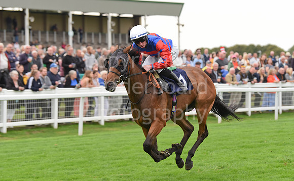 Gt_Yarm_Eastern_Fest_Ladies_day_2023-87