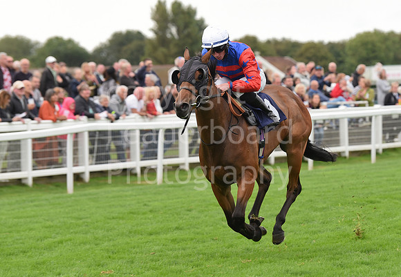 Gt_Yarm_Eastern_Fest_Ladies_day_2023-85