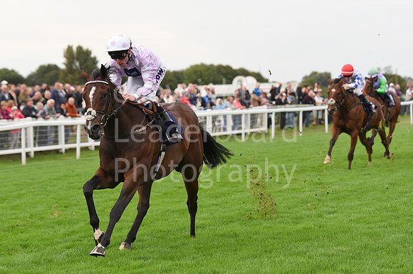 Gt_Yarm_Eastern_Fest_Ladies_day_2023-109