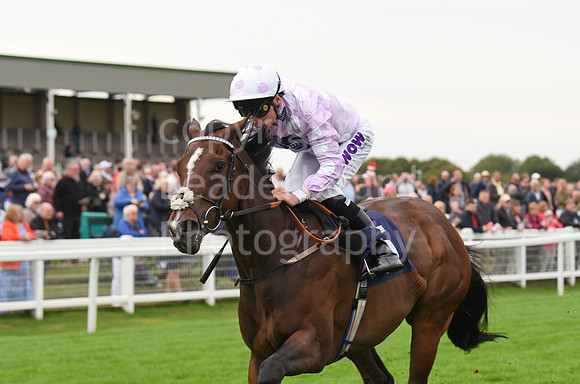 Gt_Yarm_Eastern_Fest_Ladies_day_2023-111