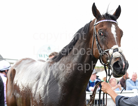 Gt_Yarm_Eastern_Fest_Ladies_day_2023-114