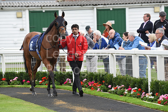 Gt_Yarm_Eastern_Fest_Ladies_day_2023-123