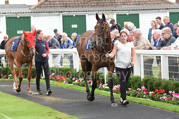 Gt_Yarm_Eastern_Fest_Ladies_day_2023-122