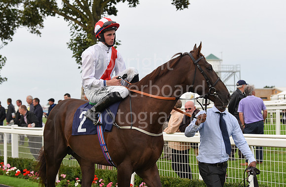 Gt_Yarm_Eastern_Fest_Ladies_day_2023-131