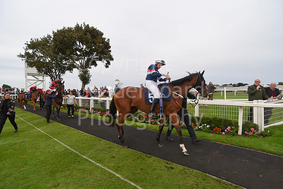 Gt_Yarm_Eastern_Fest_Ladies_day_2023-134