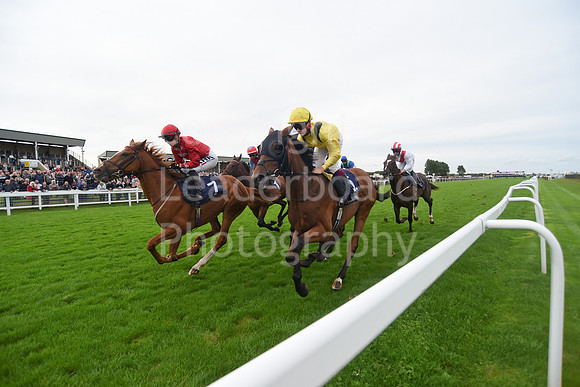 Gt_Yarm_Eastern_Fest_Ladies_day_2023-143