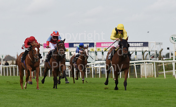 Gt_Yarm_Eastern_Fest_Ladies_day_2023-150