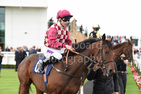 Gt_Yarm_Eastern_Fest_Ladies_day_2023-176
