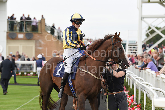 Gt_Yarm_Eastern_Fest_Ladies_day_2023-177