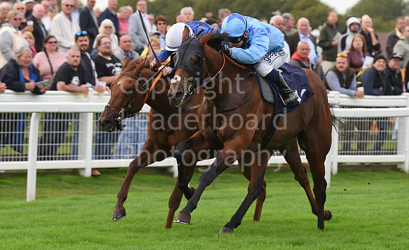Gt_Yarm_Eastern_Fest_Ladies_day_2023-192