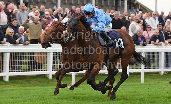 Gt_Yarm_Eastern_Fest_Ladies_day_2023-194