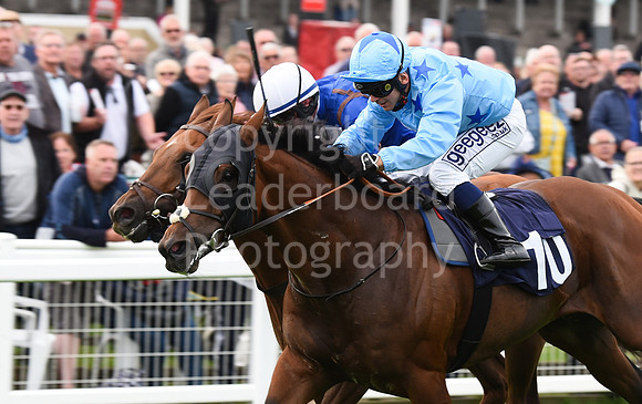 Gt_Yarm_Eastern_Fest_Ladies_day_2023-195
