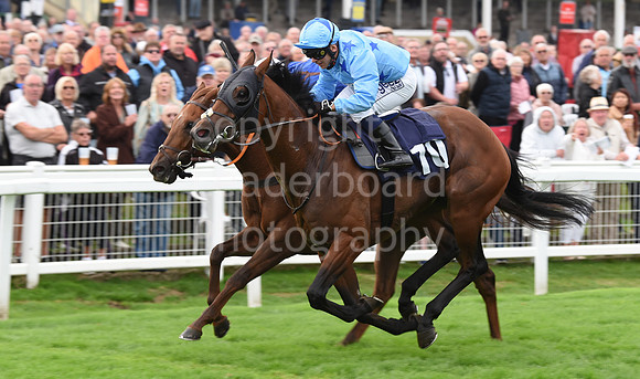 Gt_Yarm_Eastern_Fest_Ladies_day_2023-196