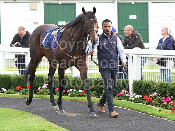 Gt_Yarm_Eastern_Fest_Ladies_day_2023-208