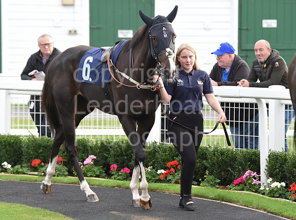 Gt_Yarm_Eastern_Fest_Ladies_day_2023-209