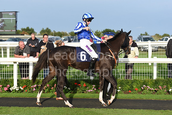 Gt_Yarm_Eastern_Fest_Ladies_day_2023-214