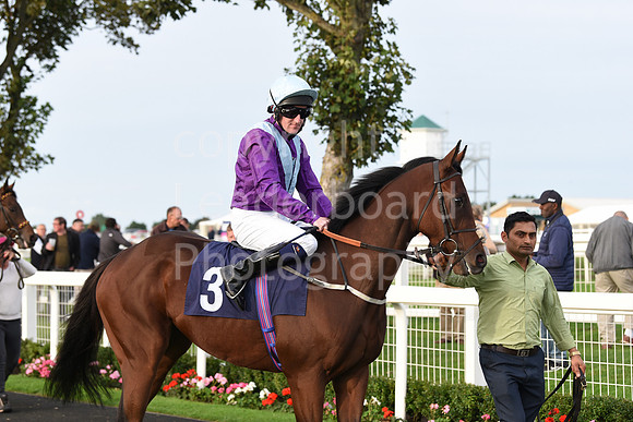 Gt_Yarm_Eastern_Fest_Ladies_day_2023-221