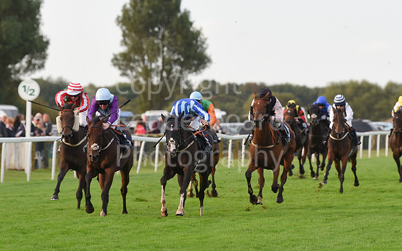 Gt_Yarm_Eastern_Fest_Ladies_day_2023-226