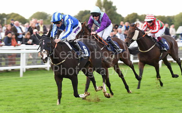 Gt_Yarm_Eastern_Fest_Ladies_day_2023-235