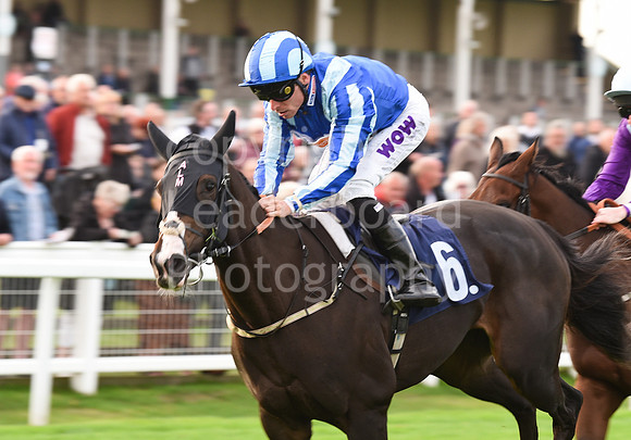 Gt_Yarm_Eastern_Fest_Ladies_day_2023-237