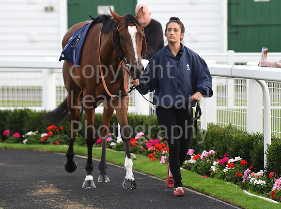 Gt_Yarm_Eastern_Fest_Ladies_day_2023-242