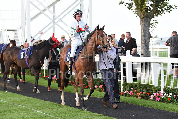 Gt_Yarm_Eastern_Fest_Ladies_day_2023-247